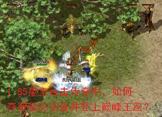1.85星王合击传奇中,如何夺取极品装备并登上巅峰王座? 1.85星王合击传奇中,如何夺取极品装备并登上巅峰王座?