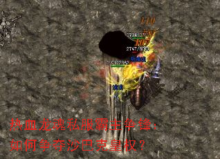 ��Ѫ����˽���������棺�������ɳ�Ϳ˻�Ȩ��