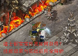 ��ʿ�±���������λ�ã�����Ч����ʵս����ȫ����