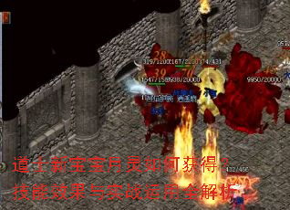 ��ʿ�±���������λ�ã�����Ч����ʵս����ȫ����