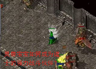 ���ޱ�����γ�Ϊ��ʿ��ǿ��ս����飿