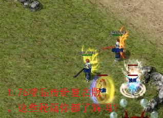 1.76精品传奇复古版,这些秘籍你都了解吗? 1.76精品传奇复古版,这些秘籍你都了解吗?