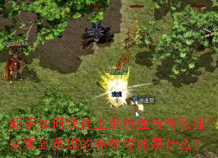 新手如何快速上手热血传奇私服?从零到英雄的完整攻略是什么? 新手如何快速上手热血传奇私服?从零到英雄的完整攻略是什么?