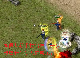 如何从新手村出发,一步步成长为沙巴克城主? 如何从新手村出发,一步步成长为沙巴克城主?