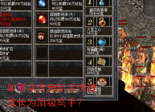 如何从传奇新手快速成长为顶级高手? 如何从传奇新手快速成长为顶级高手?