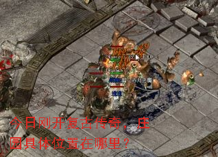 ���ոտ����Ŵ��棬ׯ԰����λ�������