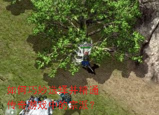 �������ѡ�񲢾�ͨ������Ϸ�е����ɣ�
