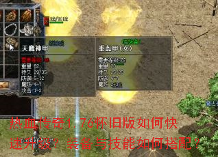 ��Ѫ����1.76���ɰ���ο���������װ���뼼����δ��䣿