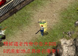 想知道老传奇中各大BOSS的刷新地点具体在哪里? 想知道老传奇中各大BOSS的刷新地点具体在哪里?