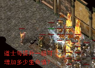 道士每提升一级可增加多少生命值? 道士每提升一级可增加多少生命值?