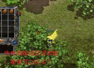 传奇鹤嘴锄获取攻略:哪里可以购买? 传奇鹤嘴锄获取攻略:哪里可以购买?
