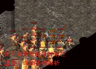 新手如何从新手村前往盟重?详细步骤解析 新手如何从新手村前往盟重?详细步骤解析