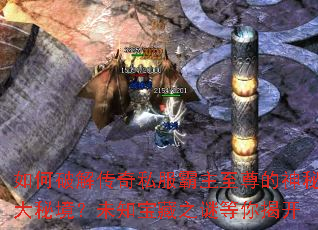 ����ƽ⴫��˽��������������ش��ؾ���δ֪����֮�յ���ҿ�
