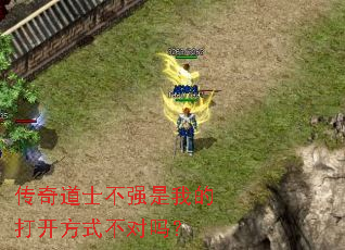 传奇道士不强是我的打开方式不对吗? 传奇道士不强是我的打开方式不对吗?