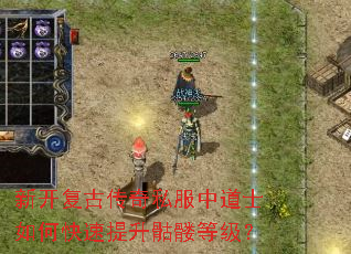 新开复古传奇私服中道士如何快速提升骷髅等级? 新开复古传奇私服中道士如何快速提升骷髅等级?