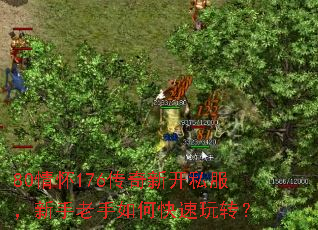 80�黳176�����¿�˽��������������ο�����ת��