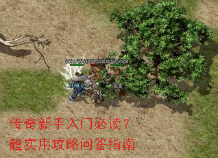 传奇新手入门必读?超实用攻略问答指南 传奇新手入门必读?超实用攻略问答指南