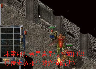 ��ѩ����������Ǽ٣����ʶ�ƴ���˽����ĳ�ֵ���壿