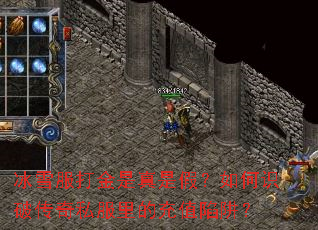 ��ѩ����������Ǽ٣����ʶ�ƴ���˽����ĳ�ֵ���壿