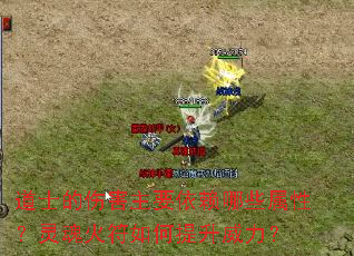 道士的伤害主要依赖哪些属性?灵魂火符如何提升威力? 道士的伤害主要依赖哪些属性?灵魂火符如何提升威力?