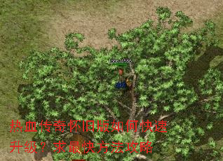 ��Ѫ���滳�ɰ���ο�������������췽������