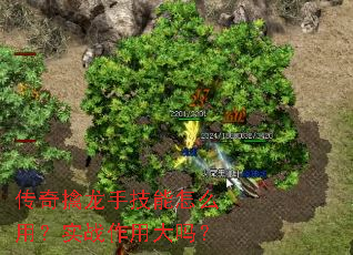 传奇擒龙手技能怎么用?实战作用大吗? 传奇擒龙手技能怎么用?实战作用大吗?
