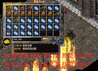 如何快速提升梦幻西游变态私服角色战力?顶级装备获取攻略? 如何快速提升梦幻西游变态私服角色战力?顶级装备获取攻略?