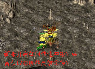 新服开启如何快速冲级?装备获取有哪些高效途径? 新服开启如何快速冲级?装备获取有哪些高效途径?