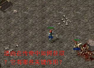 �����ڴ�������λ�ȡ��������Щ�ؼ����ã�