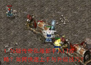 1.76版传奇私服新手入门攻略?如何快速上手与升级技巧? 1.76版传奇私服新手入门攻略?如何快速上手与升级技巧?