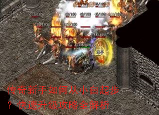����������δ�С���𲽣�������������ȫ����