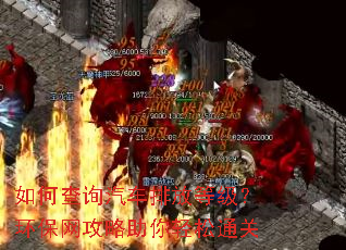 如何查询汽车排放等级?环保网攻略助你轻松通关 如何查询汽车排放等级?环保网攻略助你轻松通关