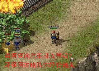 如何查询汽车排放等级?环保网攻略助你轻松通关 如何查询汽车排放等级?环保网攻略助你轻松通关