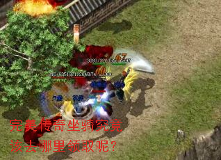 完美传奇坐骑究竟该去哪里领取呢? 完美传奇坐骑究竟该去哪里领取呢?