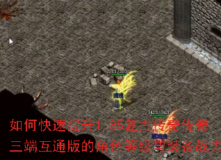 如何快速提升1.85复古传奇传奇三端互通版的角色等级与装备战力? 如何快速提升1.85复古传奇传奇三端互通版的角色等级与装备战力?