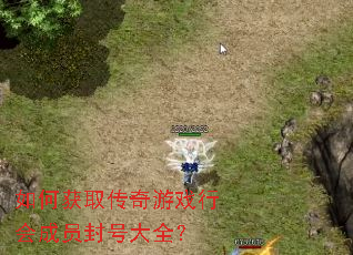 如何获取传奇游戏行会成员封号大全? 如何获取传奇游戏行会成员封号大全?