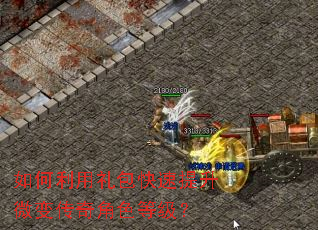 如何利用礼包快速提升微变传奇角色等级? 如何利用礼包快速提升微变传奇角色等级?