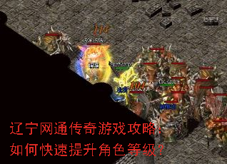 辽宁网通传奇游戏攻略:如何快速提升角色等级? 辽宁网通传奇游戏攻略:如何快速提升角色等级?