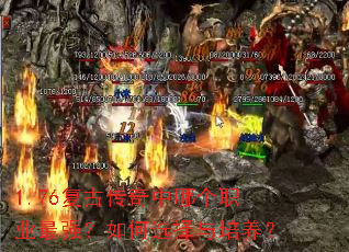 1.76���Ŵ������ĸ�ְҵ��ǿ�����ѡ����������