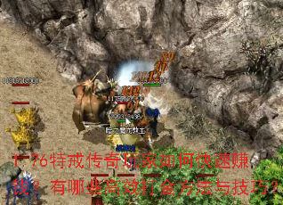 1.76�ؽ䴫�������ο���׬Ǯ������Щ��Ч��𷽷��뼼�ɣ�